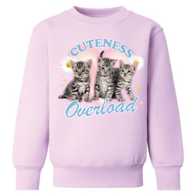 CUTENESS OVERLOAD CAT sweater